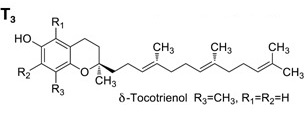 This image has an empty alt attribute; its file name is VitaminE-Tocotrienol-structure.jpg